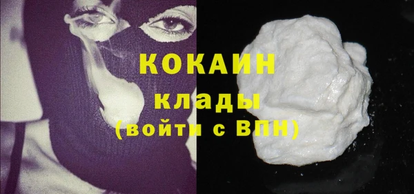 амф Ельня