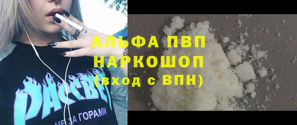 амф Ельня