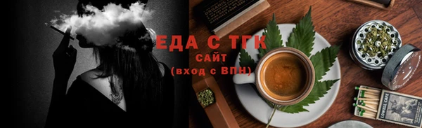 амф Ельня