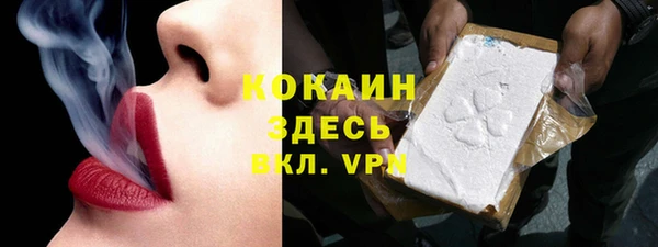 амф Ельня