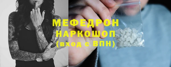 амф Ельня