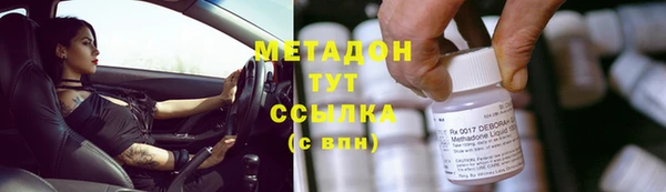 амф Ельня