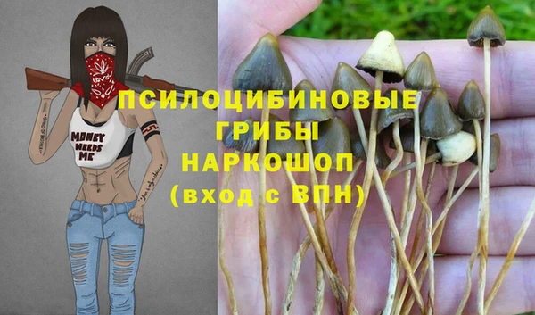 кристаллы Елабуга