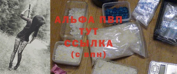 амф Ельня