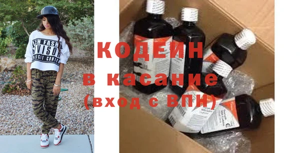 амф Ельня