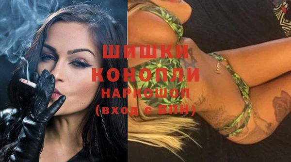 амф Ельня