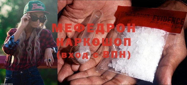 амф Ельня