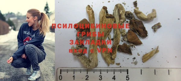 амф Ельня