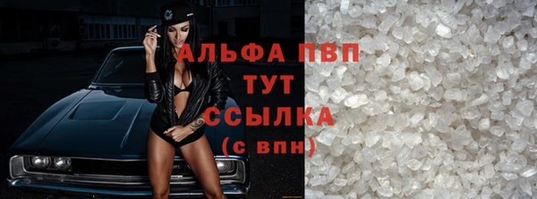 амф Ельня